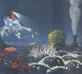 “谁家烟囱掉海底啦”深海认知活动